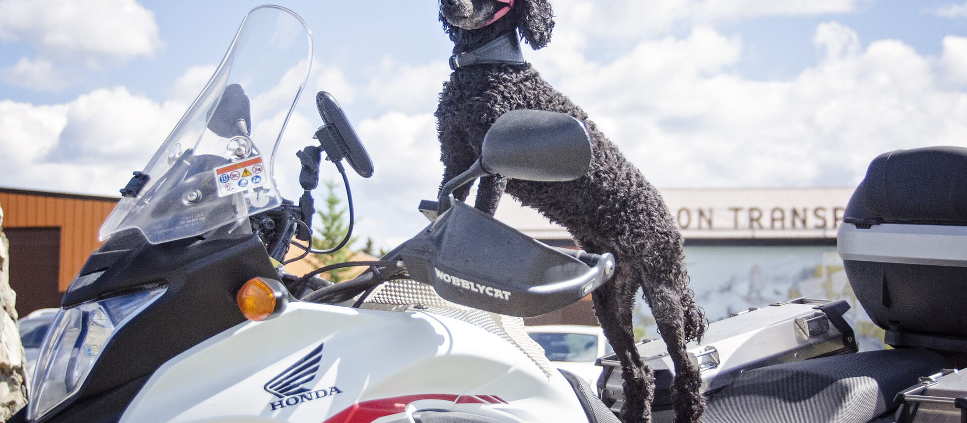 Motorcycle Travel With Your Dog | Northern Ontario Travel